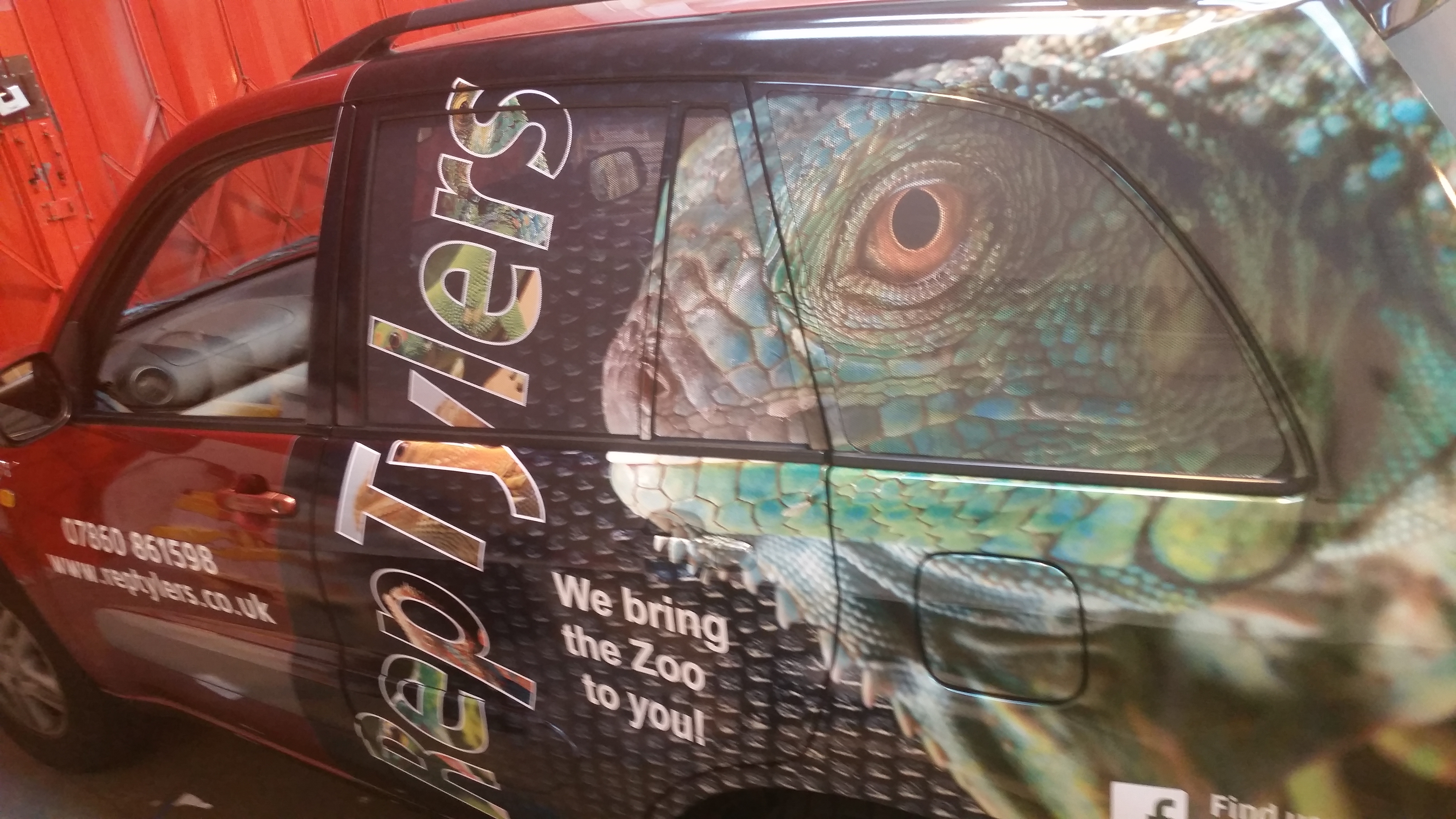 RepTylers We Bring The Zoo To You Brighton Reptile Parties Family