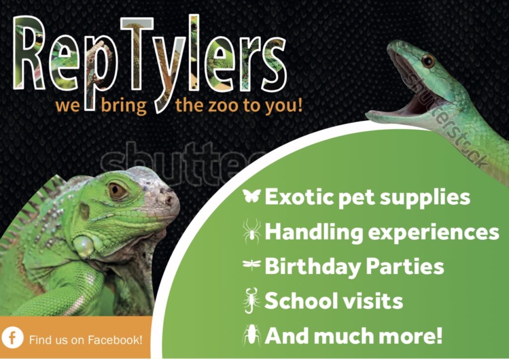 Shop License Ref: 2020/03953/PTSHOP Issued by Brighton & Hove City Council  – RepTylers – We Bring The Zoo To You | Brighton Reptile Parties